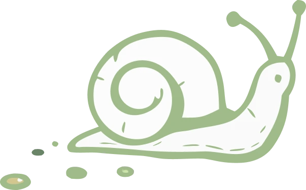 Dessin escargot de bourgogne